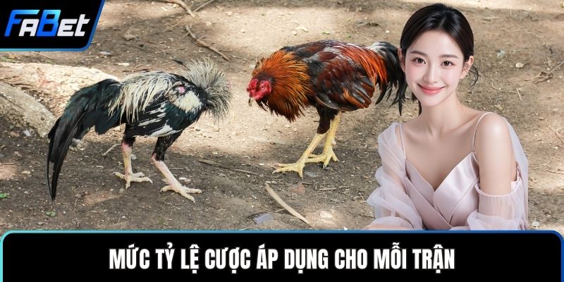 Mức tỷ lệ cược áp dụng cho mỗi trận